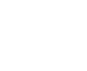 Young Nails - Brand Logo